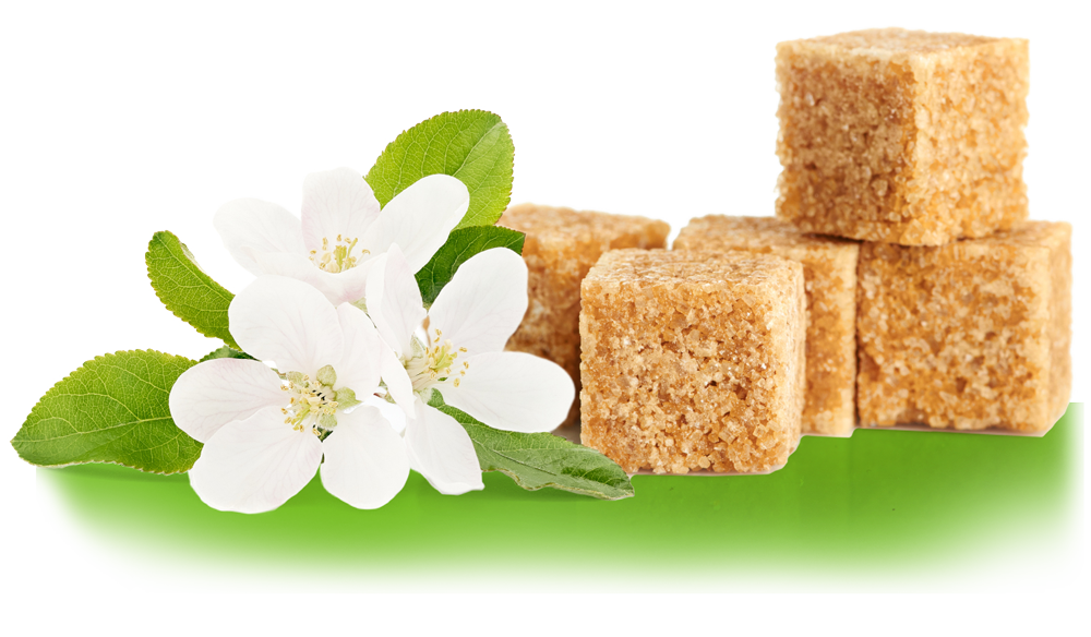 Brown Sugar Cubes laying by flowers